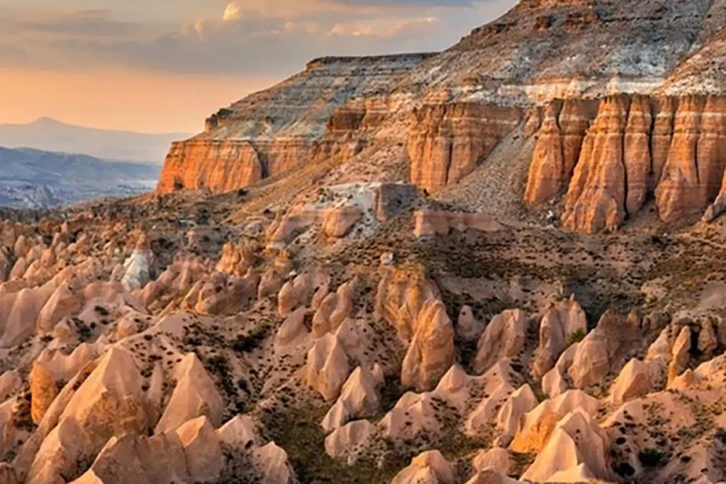 rose valley 800-600x600